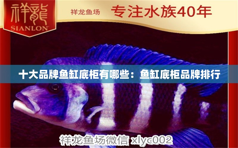 十大品牌魚缸底柜有哪些：魚缸底柜品牌排行 水族維護(hù)服務(wù)（上門）