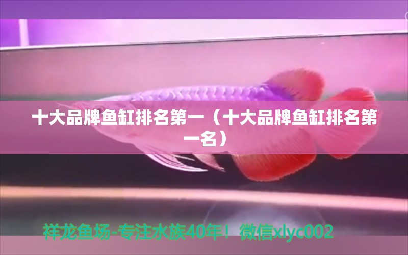 十大品牌魚缸排名第一（十大品牌魚缸排名第一名） 其他品牌魚缸