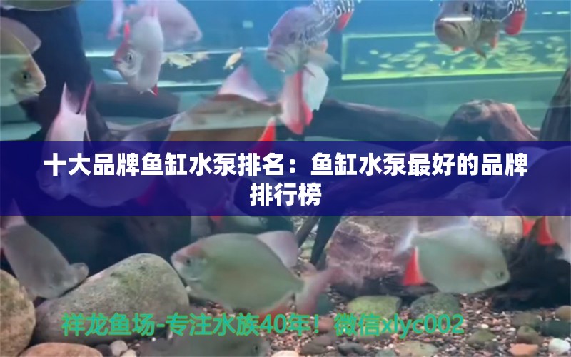 十大品牌魚缸水泵排名：魚缸水泵最好的品牌排行榜 魚缸水泵