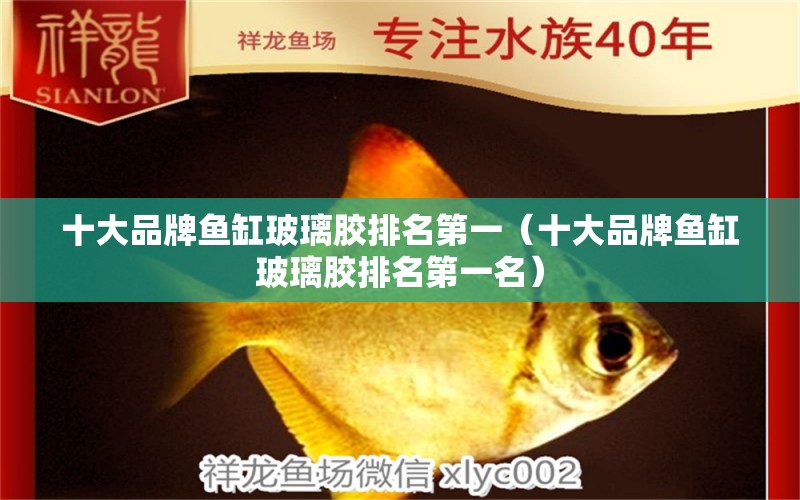 十大品牌魚缸玻璃膠排名第一（十大品牌魚缸玻璃膠排名第一名）