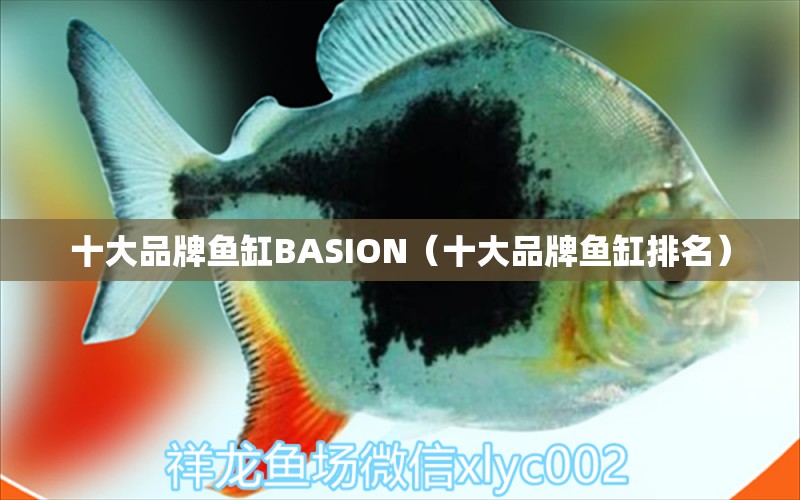 十大品牌魚(yú)缸BASION（十大品牌魚(yú)缸排名） 其他品牌魚(yú)缸