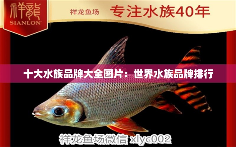 十大水族品牌大全圖片：世界水族品牌排行