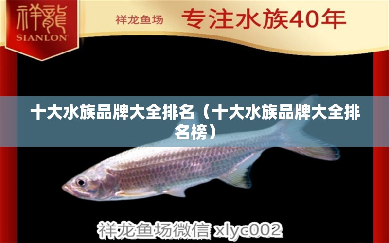 十大水族品牌大全排名（十大水族品牌大全排名榜）