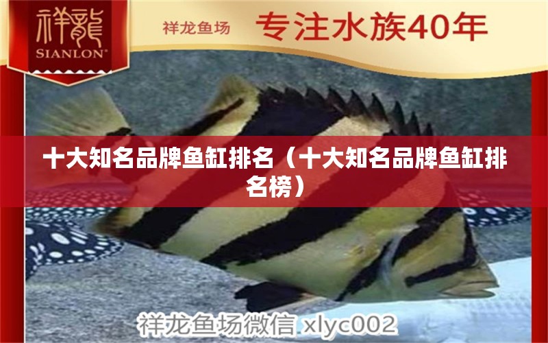 十大知名品牌魚缸排名（十大知名品牌魚缸排名榜） iwish愛唯希品牌魚缸