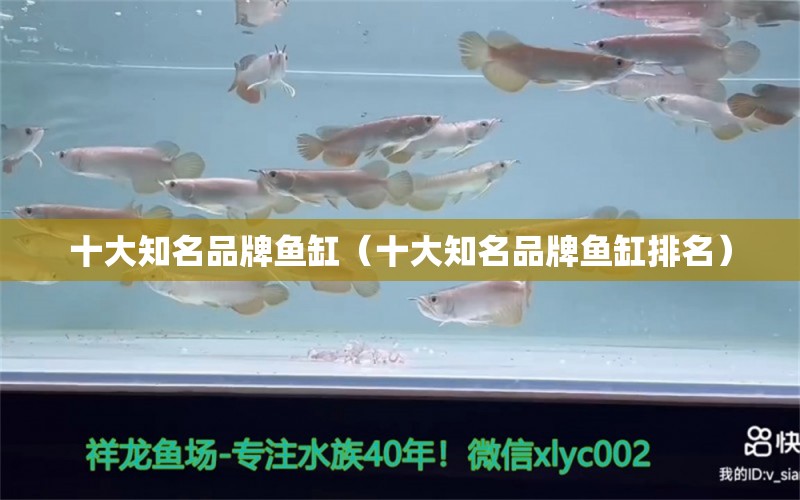 十大知名品牌魚缸（十大知名品牌魚缸排名）