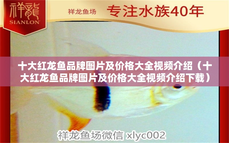 十大紅龍魚品牌圖片及價(jià)格大全視頻介紹（十大紅龍魚品牌圖片及價(jià)格大全視頻介紹下載）