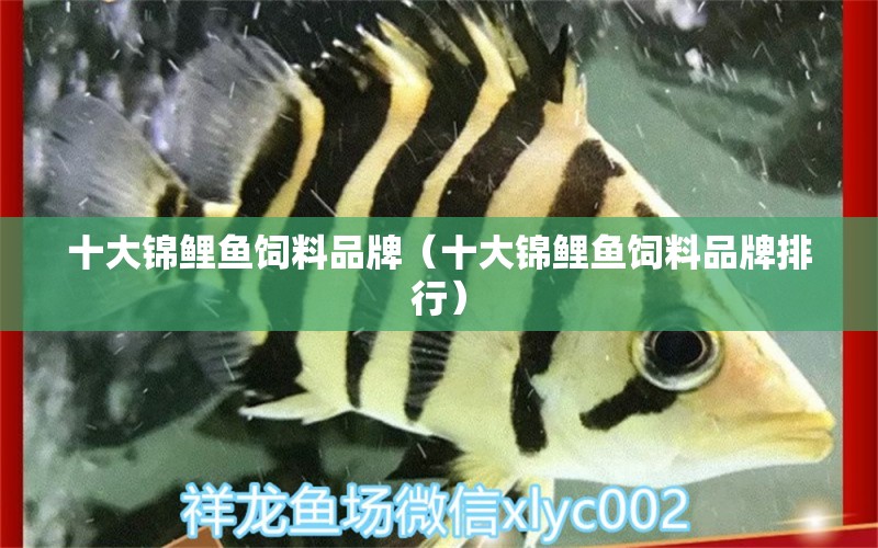 十大錦鯉魚飼料品牌（十大錦鯉魚飼料品牌排行）