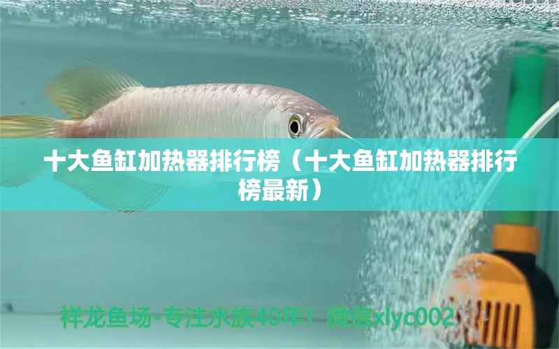 十大魚(yú)缸加熱器排行榜（十大魚(yú)缸加熱器排行榜最新）