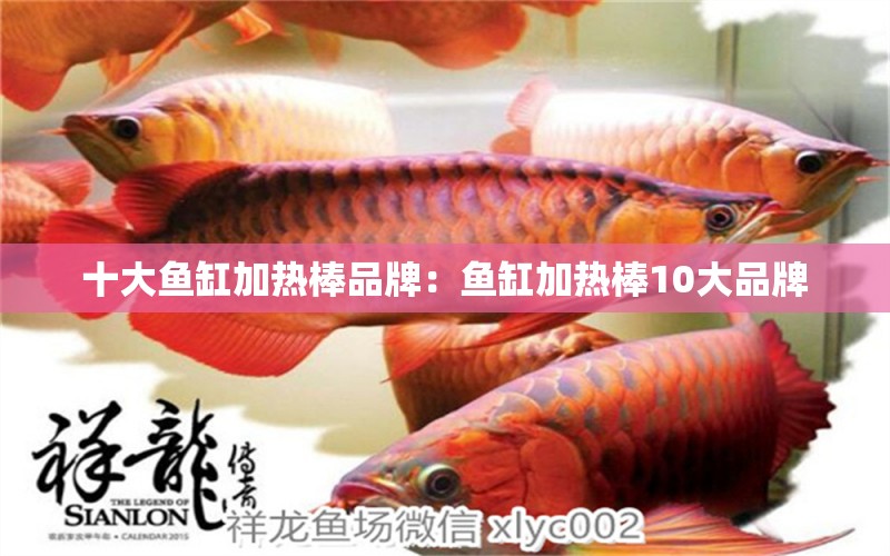 十大魚缸加熱棒品牌：魚缸加熱棒10大品牌