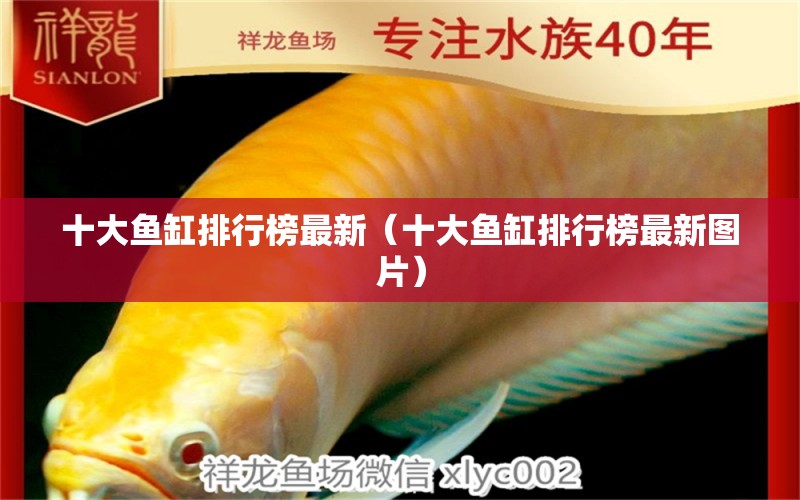 十大魚缸排行榜最新（十大魚缸排行榜最新圖片） iwish愛唯希品牌魚缸