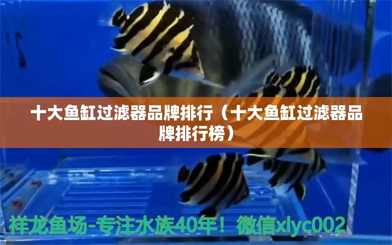 十大魚(yú)缸過(guò)濾器品牌排行（十大魚(yú)缸過(guò)濾器品牌排行榜） 紅龍福龍魚(yú)