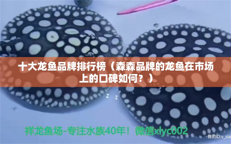 十大龍魚品牌排行榜（森森品牌的龍魚在市場上的口碑如何？）