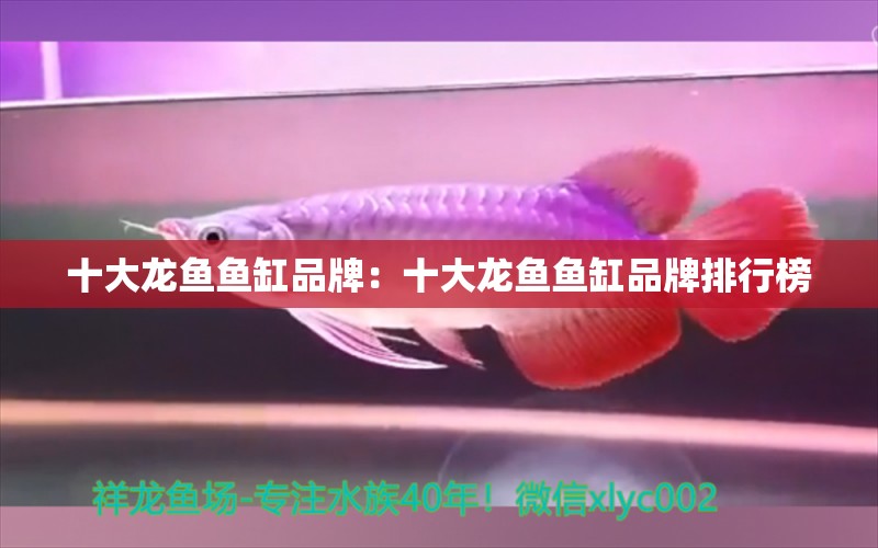 十大龍魚(yú)魚(yú)缸品牌：十大龍魚(yú)魚(yú)缸品牌排行榜