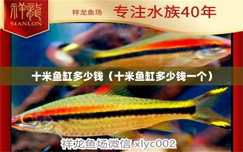 十米魚缸多少錢（十米魚缸多少錢一個）