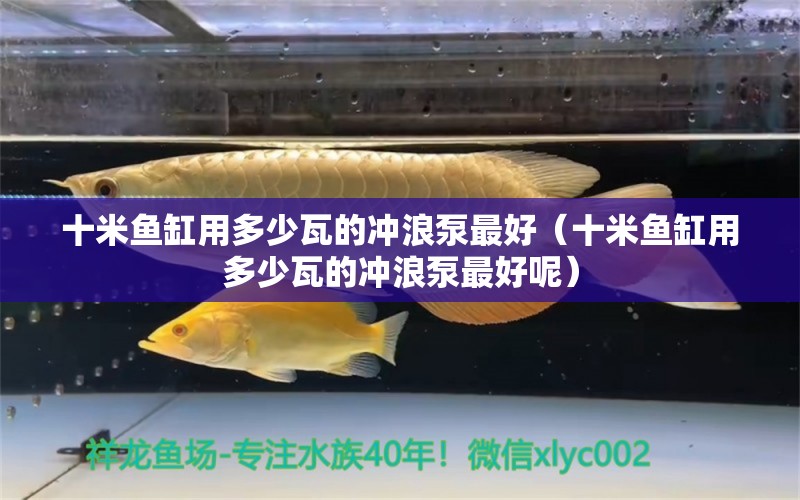 十米魚缸用多少瓦的沖浪泵最好（十米魚缸用多少瓦的沖浪泵最好呢）