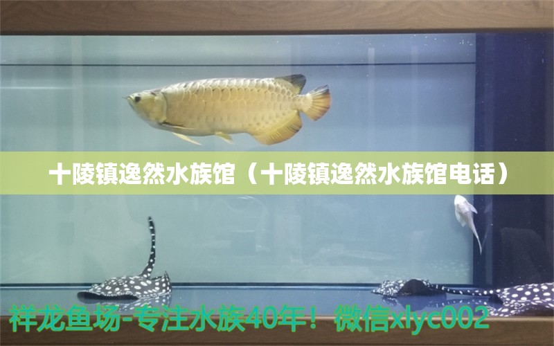 十陵鎮(zhèn)逸然水族館（十陵鎮(zhèn)逸然水族館電話）