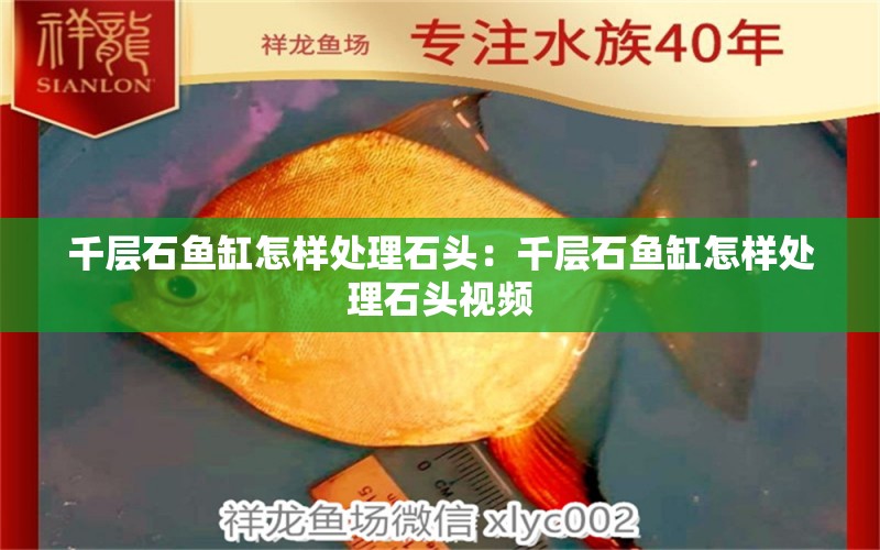 千層石魚缸怎樣處理石頭：千層石魚缸怎樣處理石頭視頻