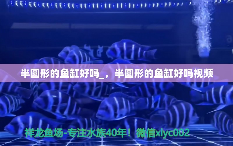 半圓形的魚(yú)缸好嗎_，半圓形的魚(yú)缸好嗎視頻