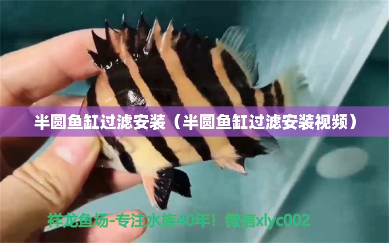 半圓魚缸過濾安裝（半圓魚缸過濾安裝視頻）