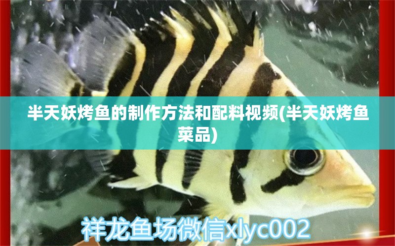 半天妖烤魚的制作方法和配料視頻(半天妖烤魚菜品)