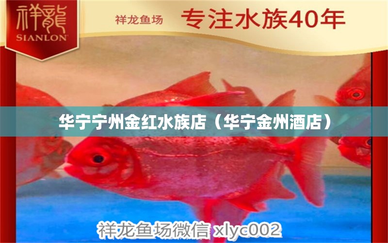 華寧寧州金紅水族店（華寧金州酒店） 全國(guó)水族館企業(yè)名錄