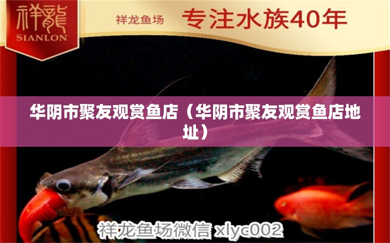 華陰市聚友觀賞魚(yú)店（華陰市聚友觀賞魚(yú)店地址）