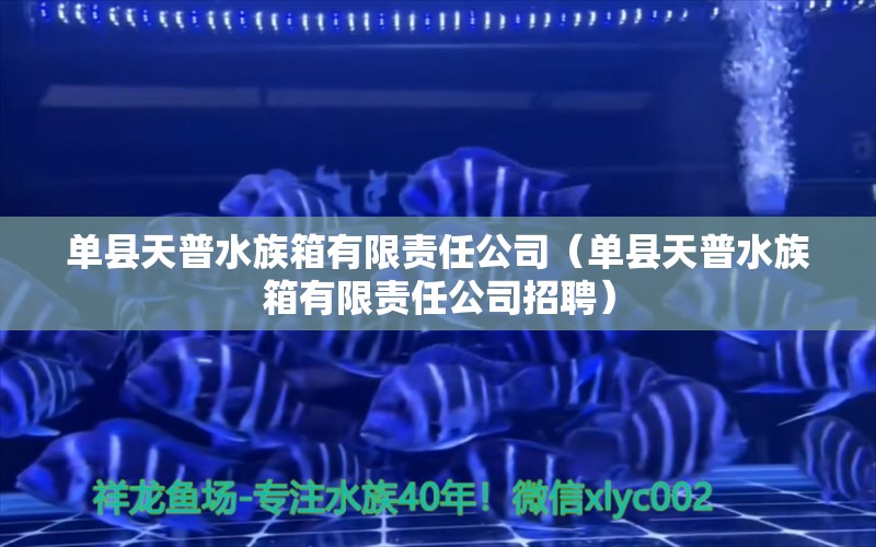 單縣天普水族箱有限責(zé)任公司（單縣天普水族箱有限責(zé)任公司招聘）