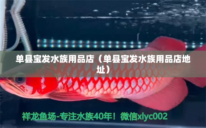 單縣寶發(fā)水族用品店（單縣寶發(fā)水族用品店地址）