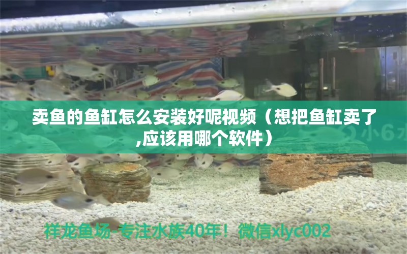 賣魚的魚缸怎么安裝好呢視頻（想把魚缸賣了,應(yīng)該用哪個(gè)軟件） 錦鯉飼料