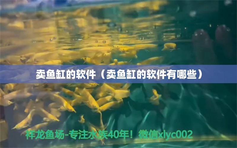 賣魚缸的軟件（賣魚缸的軟件有哪些）