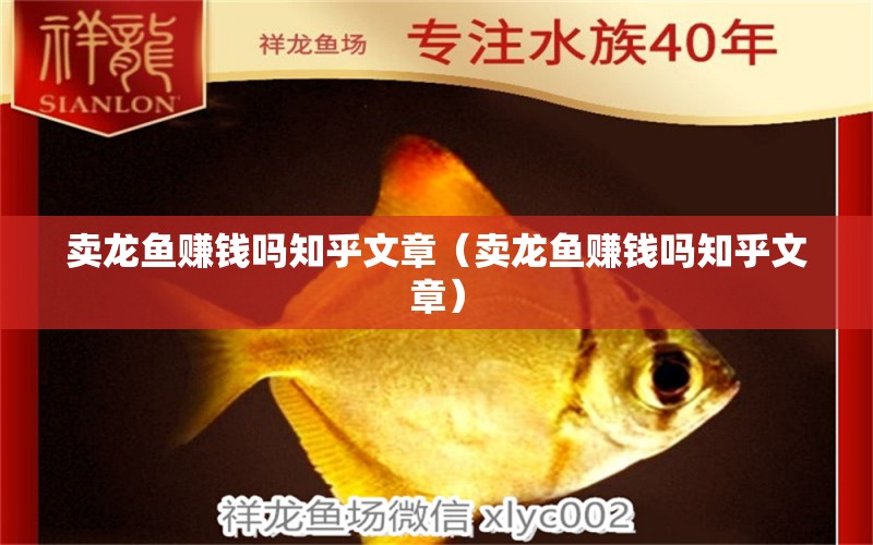 賣龍魚賺錢嗎知乎文章（賣龍魚賺錢嗎知乎文章）