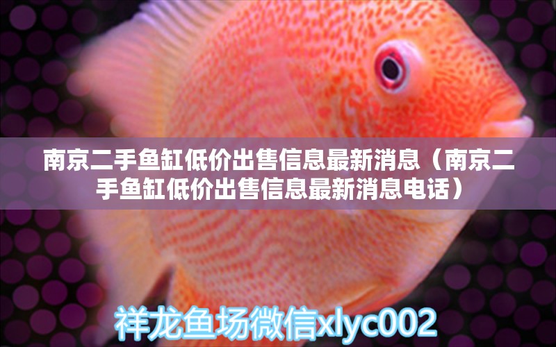 南京二手魚(yú)缸低價(jià)出售信息最新消息（南京二手魚(yú)缸低價(jià)出售信息最新消息電話(huà)）