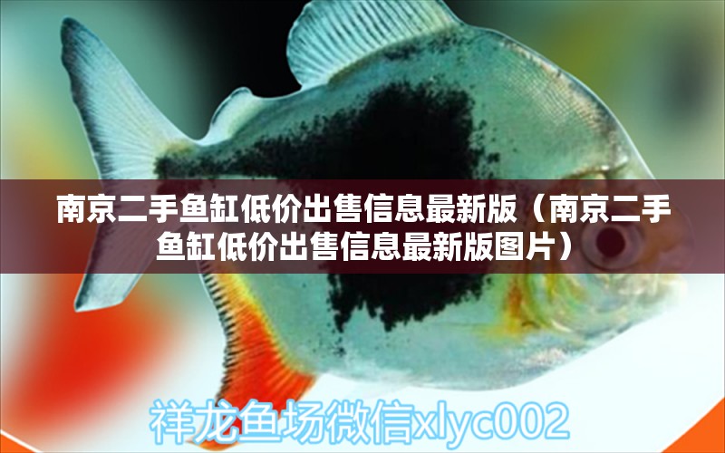 南京二手魚缸低價出售信息最新版（南京二手魚缸低價出售信息最新版圖片）