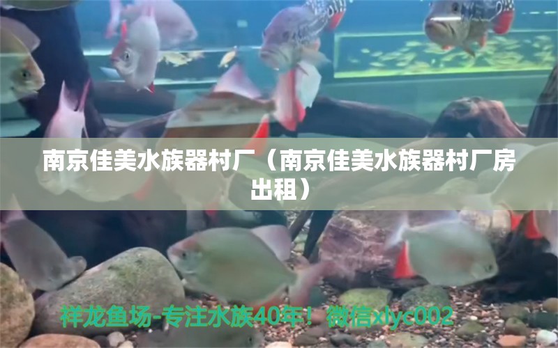 南京佳美水族器村廠（南京佳美水族器村廠房出租） 全國(guó)水族館企業(yè)名錄