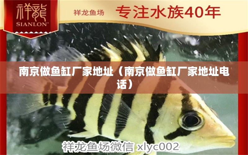 南京做魚缸廠家地址（南京做魚缸廠家地址電話）