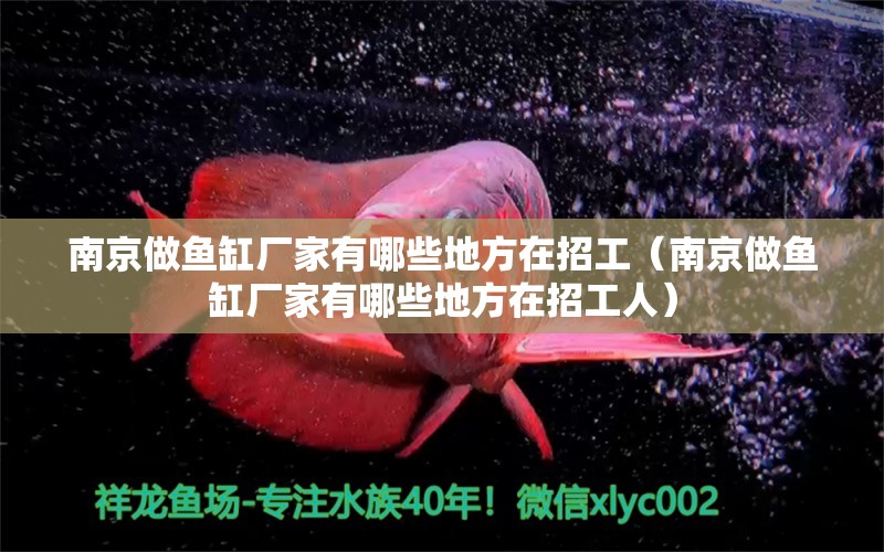 南京做魚缸廠家有哪些地方在招工（南京做魚缸廠家有哪些地方在招工人）