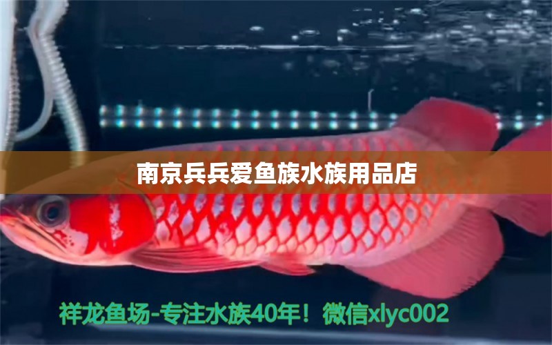 南京兵兵愛魚族水族用品店 水族用品