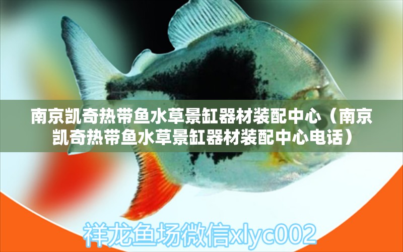 南京凱奇熱帶魚水草景缸器材裝配中心（南京凱奇熱帶魚水草景缸器材裝配中心電話） 水草