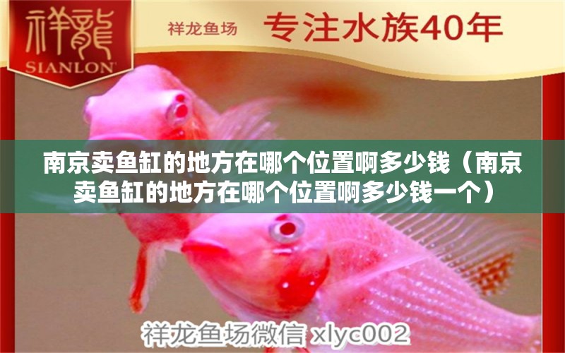 南京賣魚(yú)缸的地方在哪個(gè)位置啊多少錢（南京賣魚(yú)缸的地方在哪個(gè)位置啊多少錢一個(gè)）