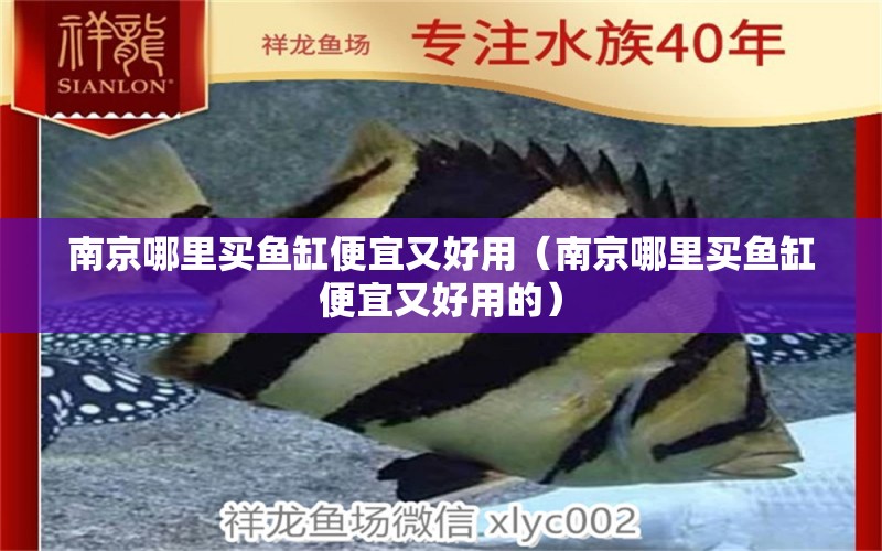 南京哪里買魚缸便宜又好用（南京哪里買魚缸便宜又好用的）