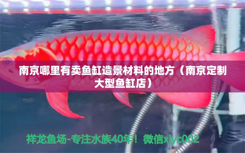 南京哪里有賣魚缸造景材料的地方（南京定制大型魚缸店） 水草