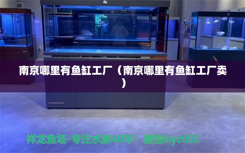 南京哪里有魚缸工廠（南京哪里有魚缸工廠賣）