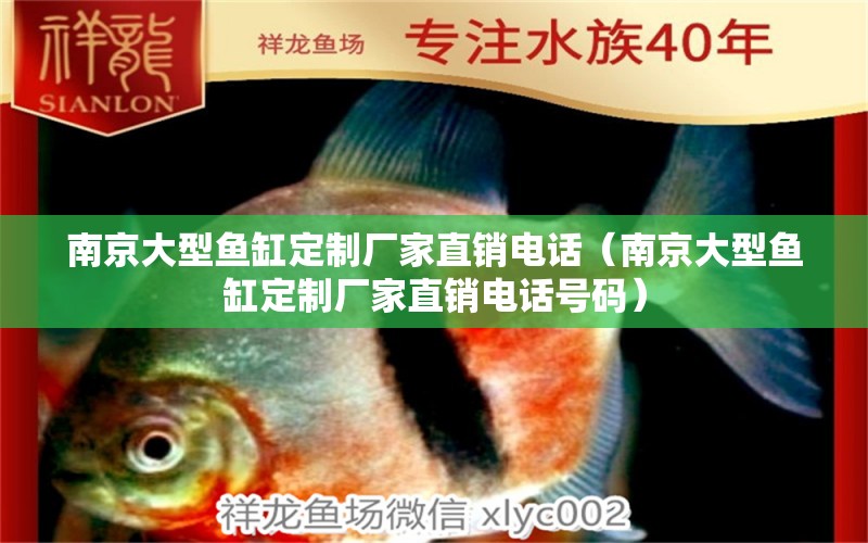 南京大型魚(yú)缸定制廠家直銷電話（南京大型魚(yú)缸定制廠家直銷電話號(hào)碼）