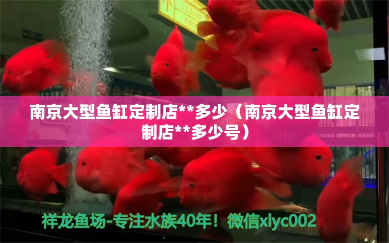 南京大型魚(yú)缸定制店**多少（南京大型魚(yú)缸定制店**多少號(hào)）