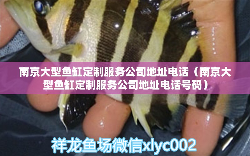 南京大型魚缸定制服務(wù)公司地址電話（南京大型魚缸定制服務(wù)公司地址電話號碼）