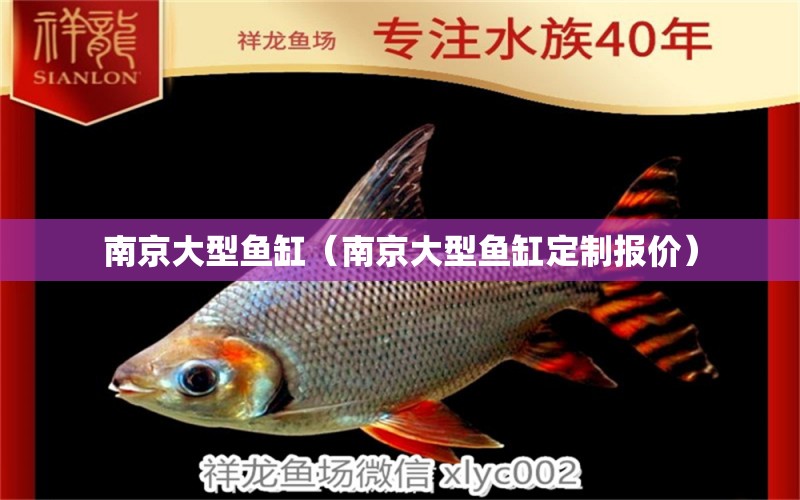 南京大型魚缸（南京大型魚缸定制報價） 其他品牌魚缸