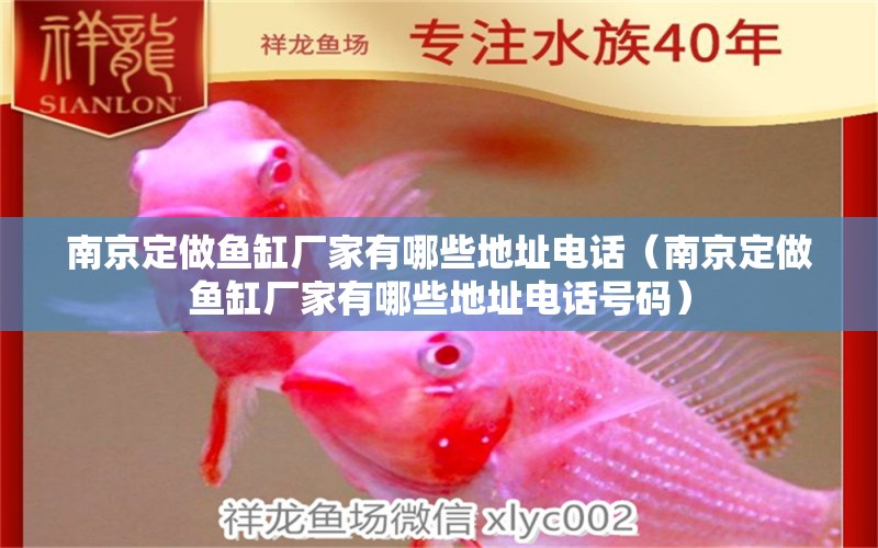 南京定做魚(yú)缸廠家有哪些地址電話（南京定做魚(yú)缸廠家有哪些地址電話號(hào)碼） 祥龍水族醫(yī)院