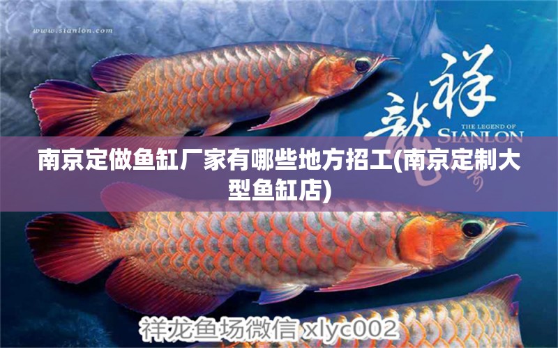 南京定做魚缸廠家有哪些地方招工(南京定制大型魚缸店) 祥龍藍(lán)珀金龍魚