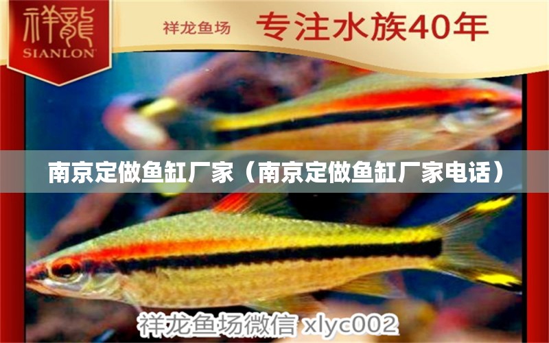 南京定做魚缸廠家（南京定做魚缸廠家電話）