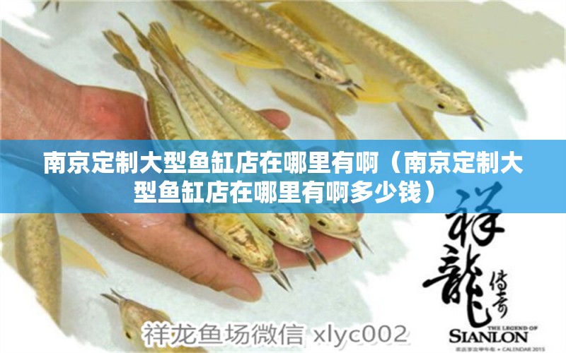 南京定制大型魚缸店在哪里有啊（南京定制大型魚缸店在哪里有啊多少錢）